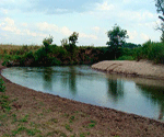 Река Толучеевка